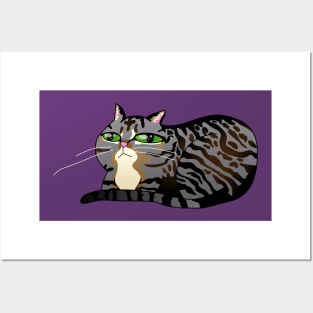 Grey Tabby Cat Posters and Art